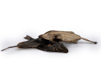 DIANA Flunder DIANA Flunder