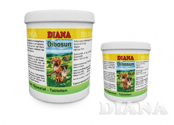 DIANA Dibosun-Spezial Biotin Tabletten