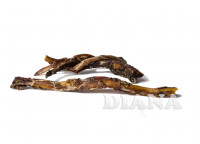 DIANA Hirsch - Sehne DIANA Hirsch - Sehne