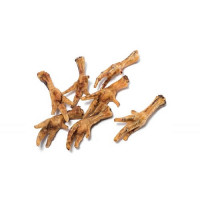 Diana Hünerfüße Diana Hünerfüße